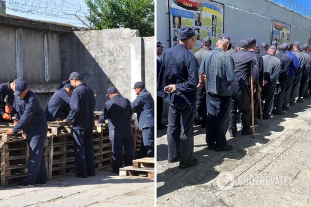 Не хотят снова стать пушечным мясом: пленные оккупанты просят не обменивать их до окончания контракта – The Economist