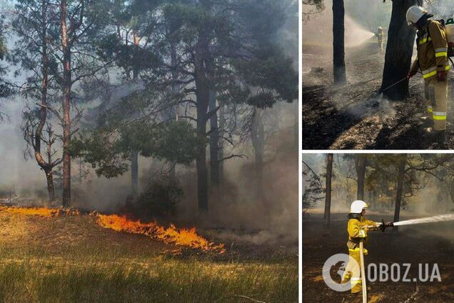 Горіло 6000 квадратів лісу: на Миколаївщині рятувальники ліквідували масштабну пожежу. Фото