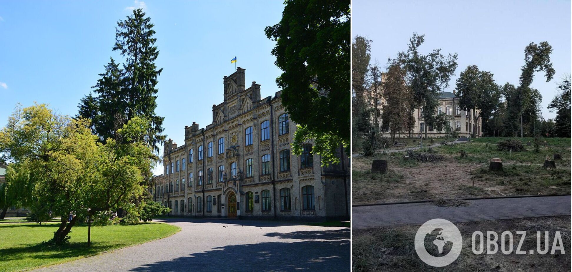 У парку КПІ почали зрізати дерева