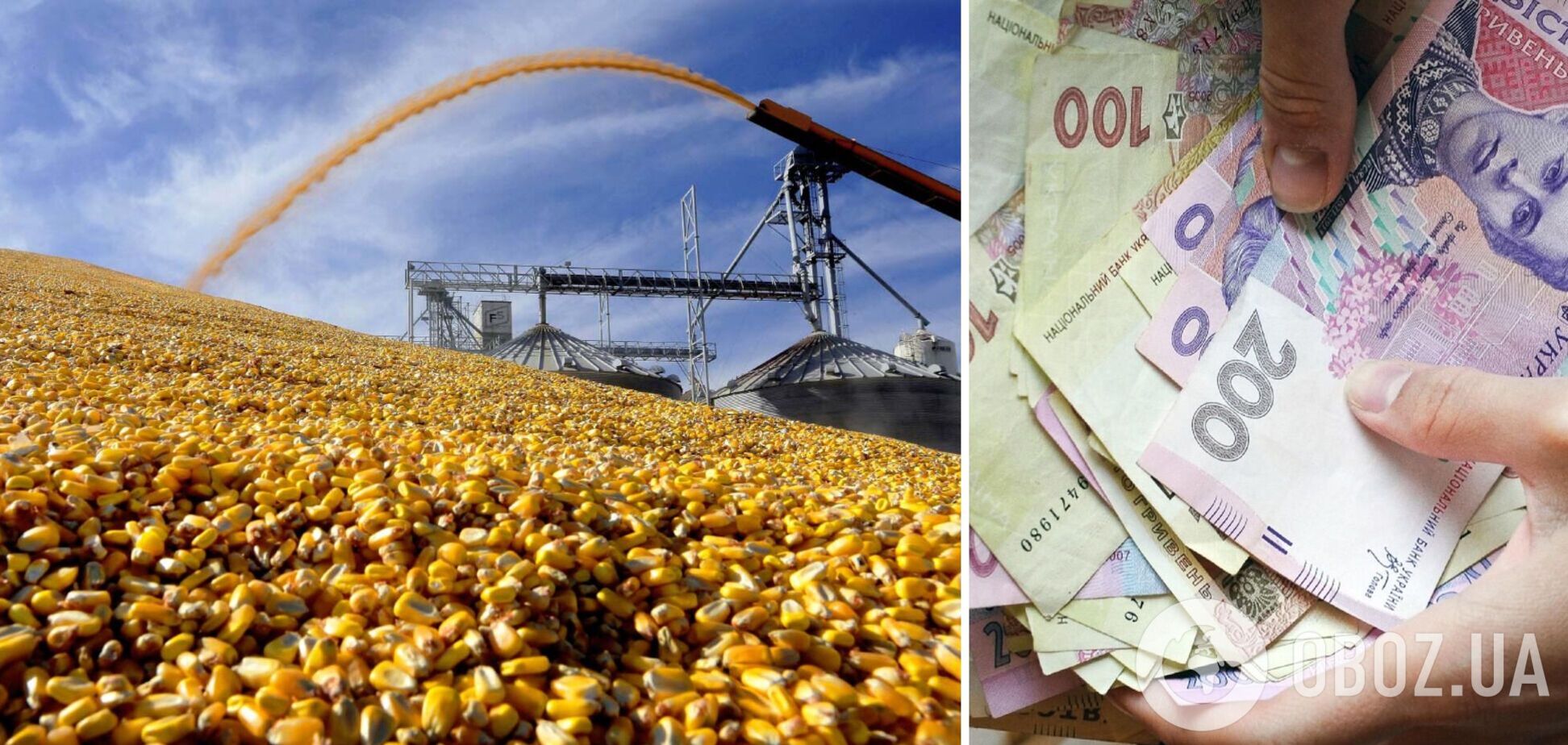 Кукурудзу продали вдвічі дешевше за ринкову ціну