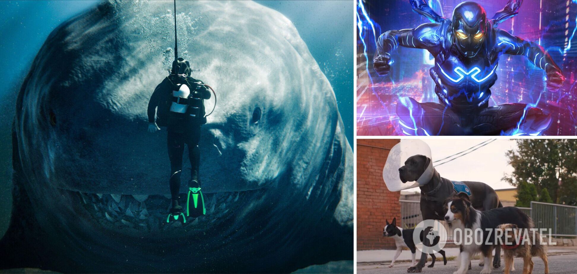 Стейтем против акул, новый герой DC и месть 'лохматых' друзей: яркие премьеры августа в кино