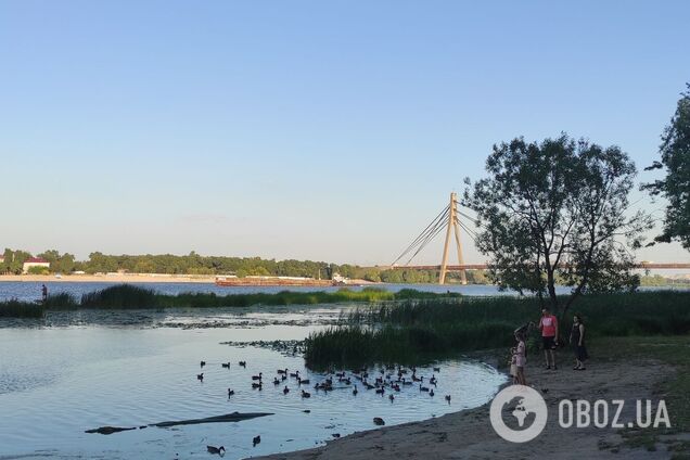 Синоптики прогнозують спеку в регіоні