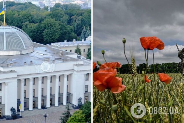 В Раді хочуть законодавчо закріпити неприпустимість припинення війни шляхом територіальних поступок: що відомо