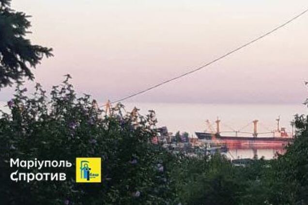 Окупанти продовжують вивозити через Маріупольський порт крадене українське зерно, – Андрющенко