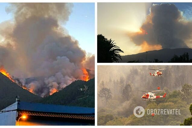 В Іспанії на острові Тенерифе не вщухають лісові пожежі: довелося евакуювати 26 тис. осіб. Фото і відео
