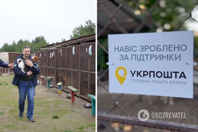 Деньги на восстановление собирали с помощью марок с псом Патроном