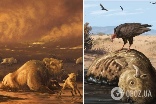 Людство, ймовірно, винищило мегафауну Землі 13 000 років тому: як це сталося