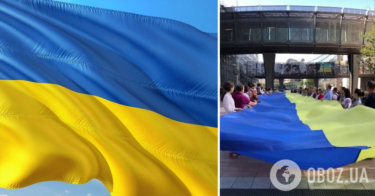 Ништяки в калину 1 Ништяки в калину 1