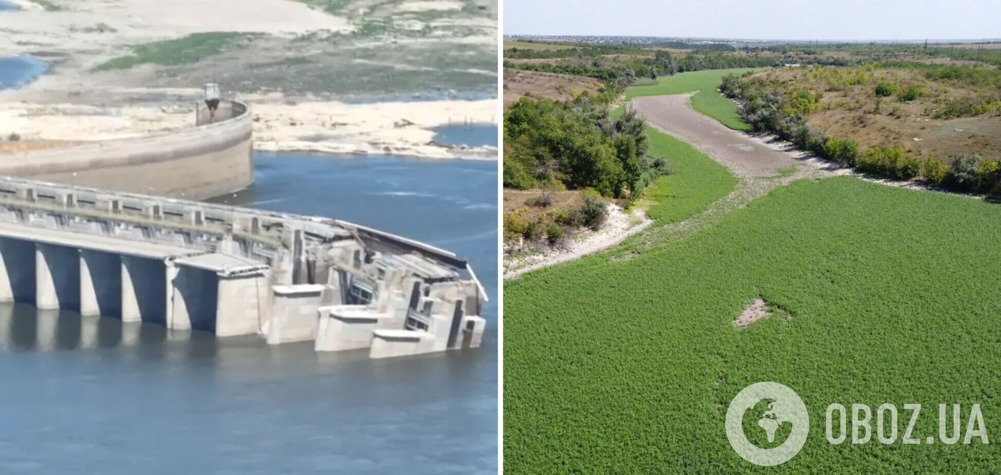 Между экономикой и экологией: что теперь делать с Каховским водохранилищем и почему в Днепр вернулись осетры