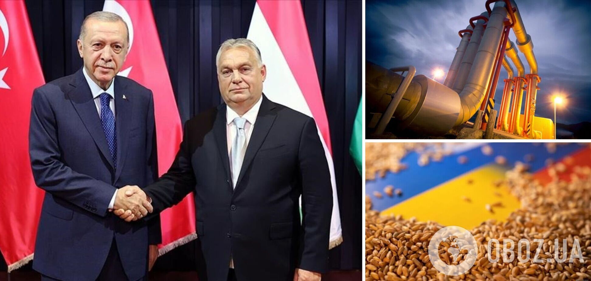 'Альтернативна газова угода' замість експорту російського зерна: чим закінчилась зустріч лідерів 15 країн у Будапешті