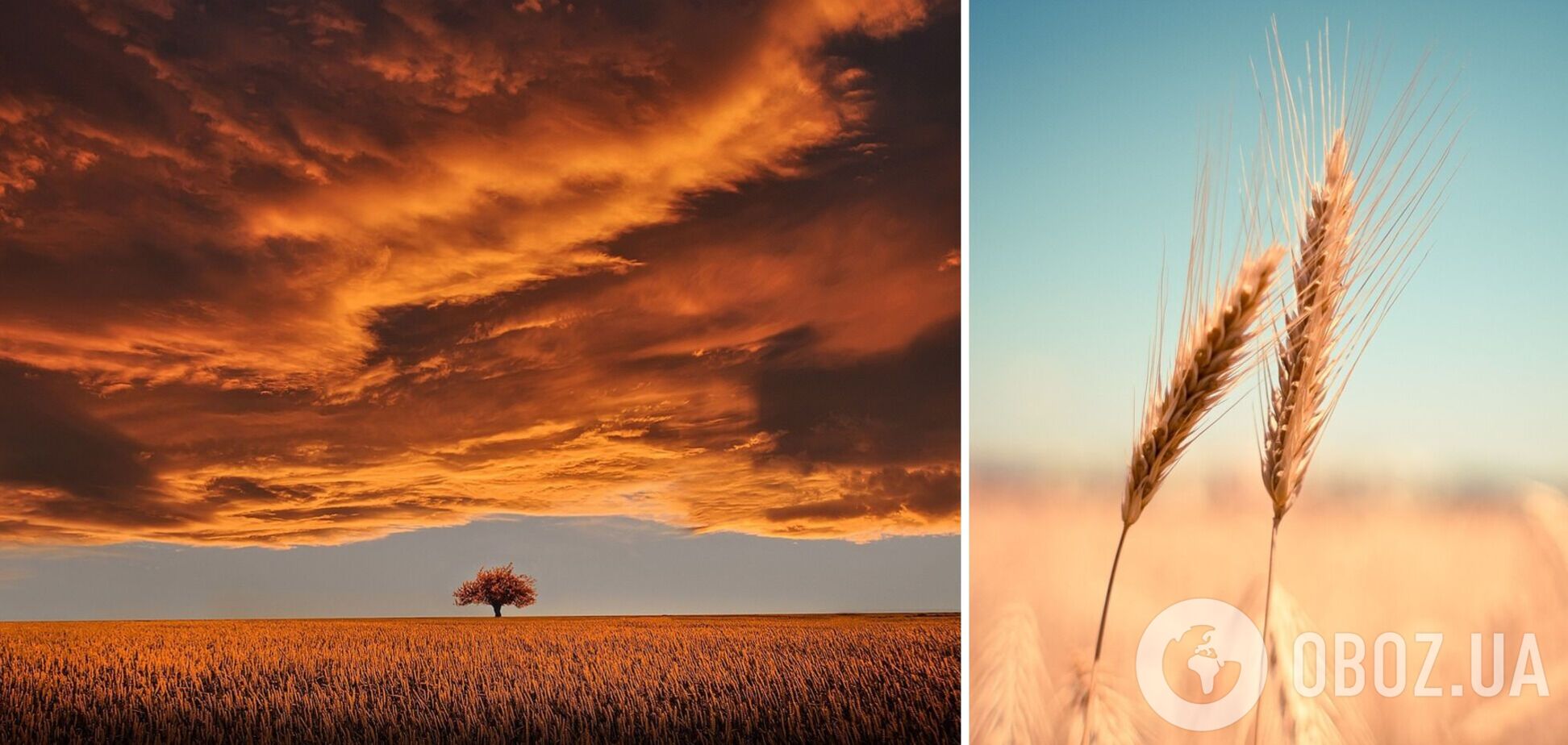 Синоптики озвучили прогноз погоды