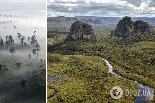 Катастрофа для Земли: ученые предупредили об угрозе полной гибели тропических лесов