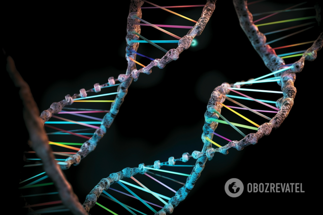 Генетики впервые расшифровали последнюю недостающую часть генома человека