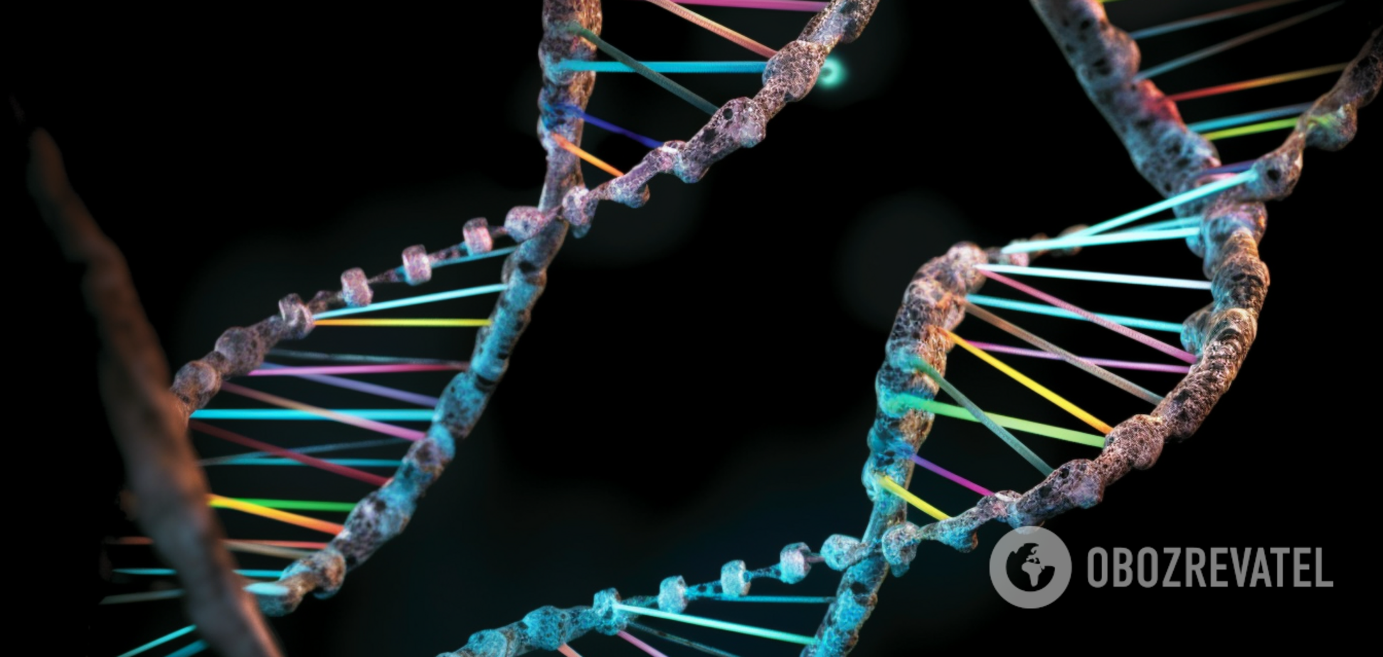 Генетики впервые расшифровали последнюю недостающую часть генома человека