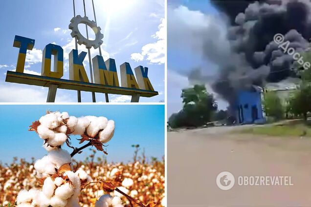 Бавовна в Токмаке