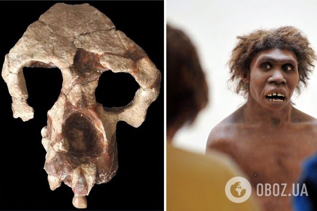 Рештки нового виду мавпи поставили під сумнів теорію про те, що всі люди походять з Африки