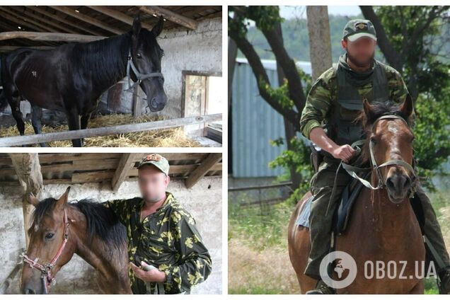 'А когда будут слоны?' Оккупанты на фронте задействовали лошадей вместо грузовиков и стали посмешищем. Фото