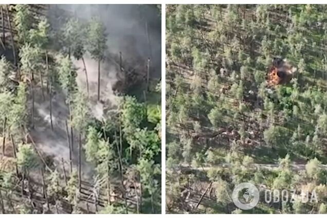 Отработала артиллерия: ВСУ уничтожили пункт аэроразведки оккупантов на Лиманском направлении. Видео