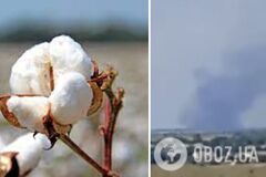 ВСУ попали в склад боеприпасов под Бердянском: детонация длилась больше часа. Видео