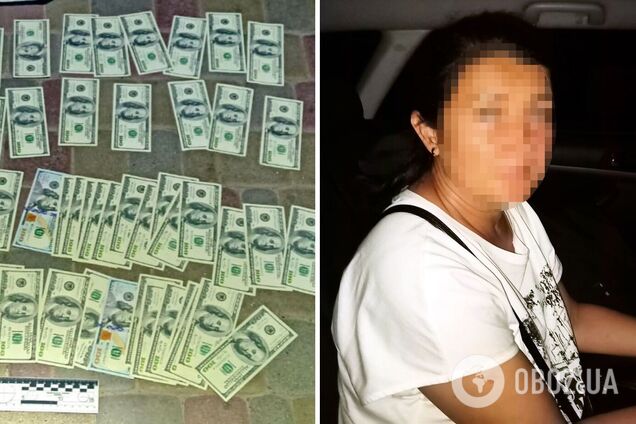В сумке были доллары и нацвалюта почти на четверть млн грн
