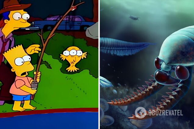 'Сімпсони' знову все передбачили: знайдено рештки триокої морської істоти, яка жила 520 млн років тому