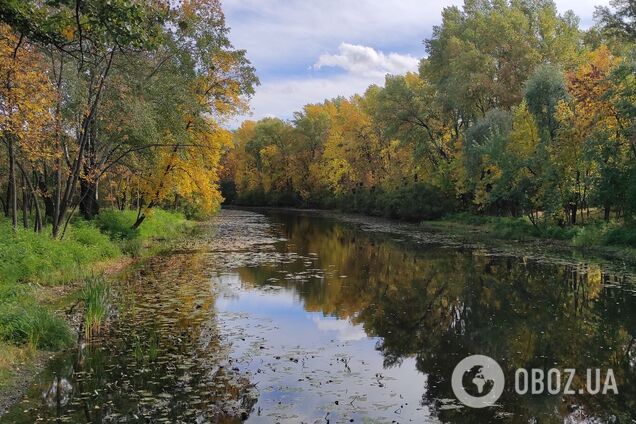 Днем синоптики осадков не прогнозируют