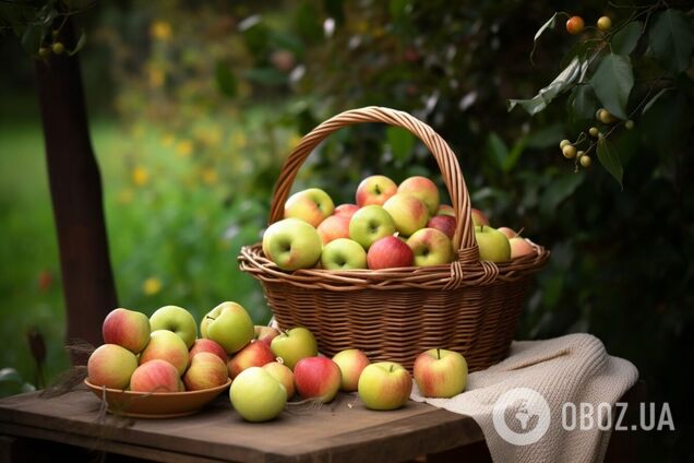 Яблочный Спас: традиции и запреты праздника, когда начнут отмечать по новому календарю
