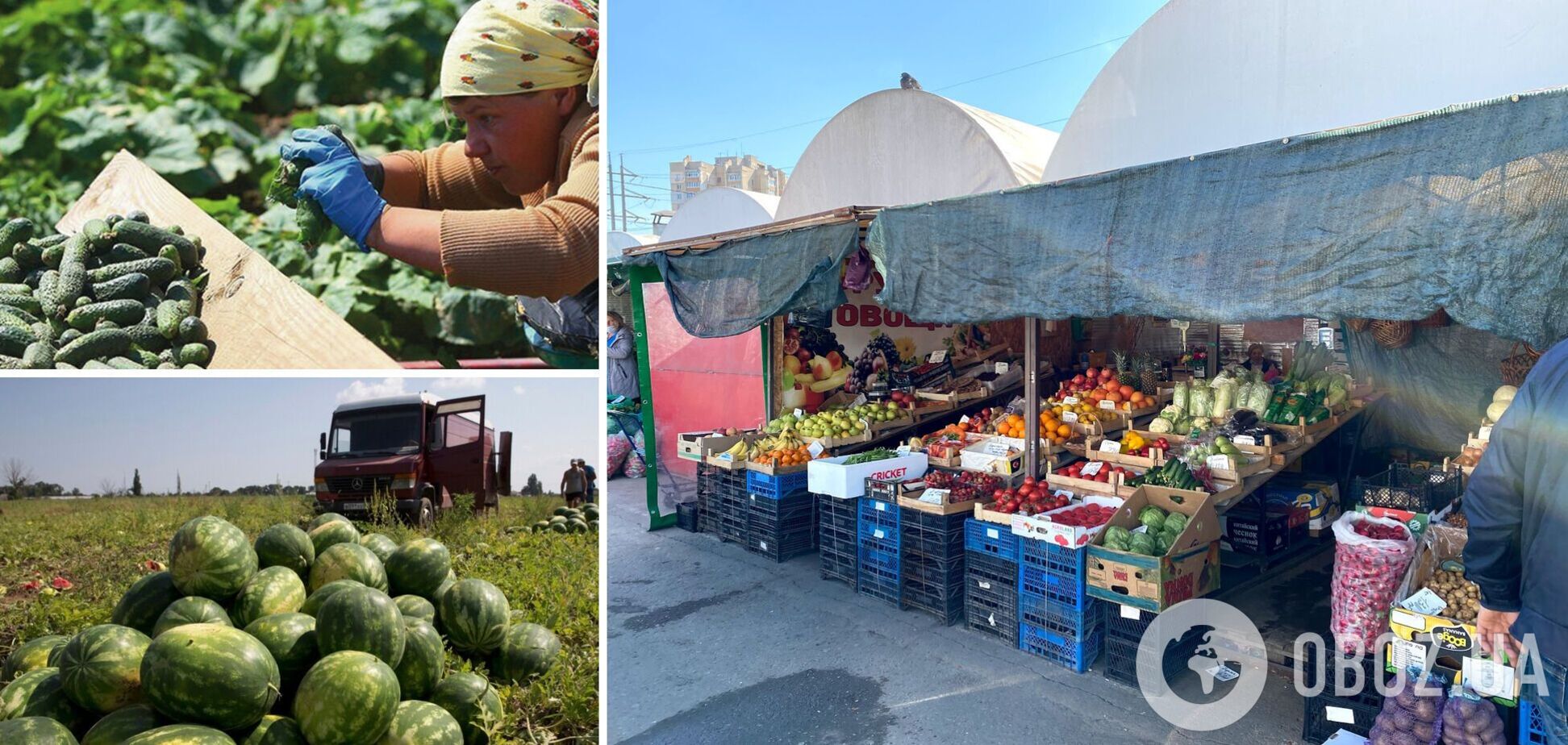 Халявы больше не будет: в Крыму резко выросли цены на херсонские овощи и фрукты