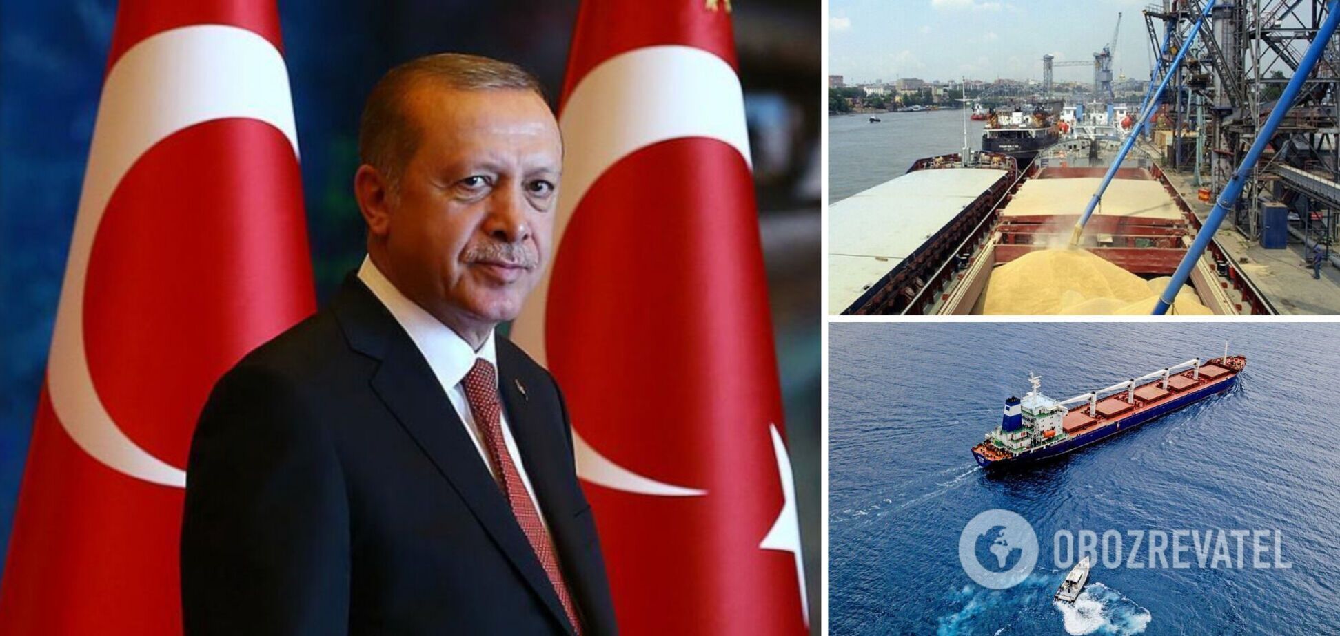 Турция готова гарантировать проход через проливы для судов с зерном