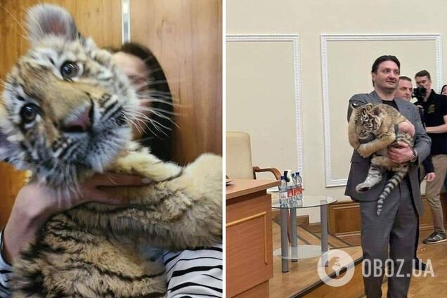 У московському цирку померло тигреня, яке росіяни вкрали із зоопарку Маріуполя. Фото