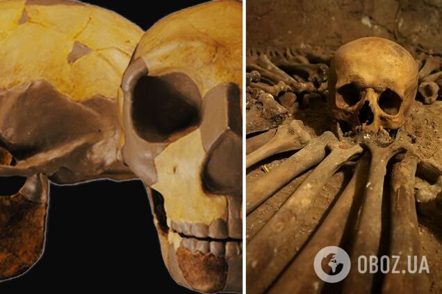 Знайдено череп невідомого раніше виду людини: у чому його особливість