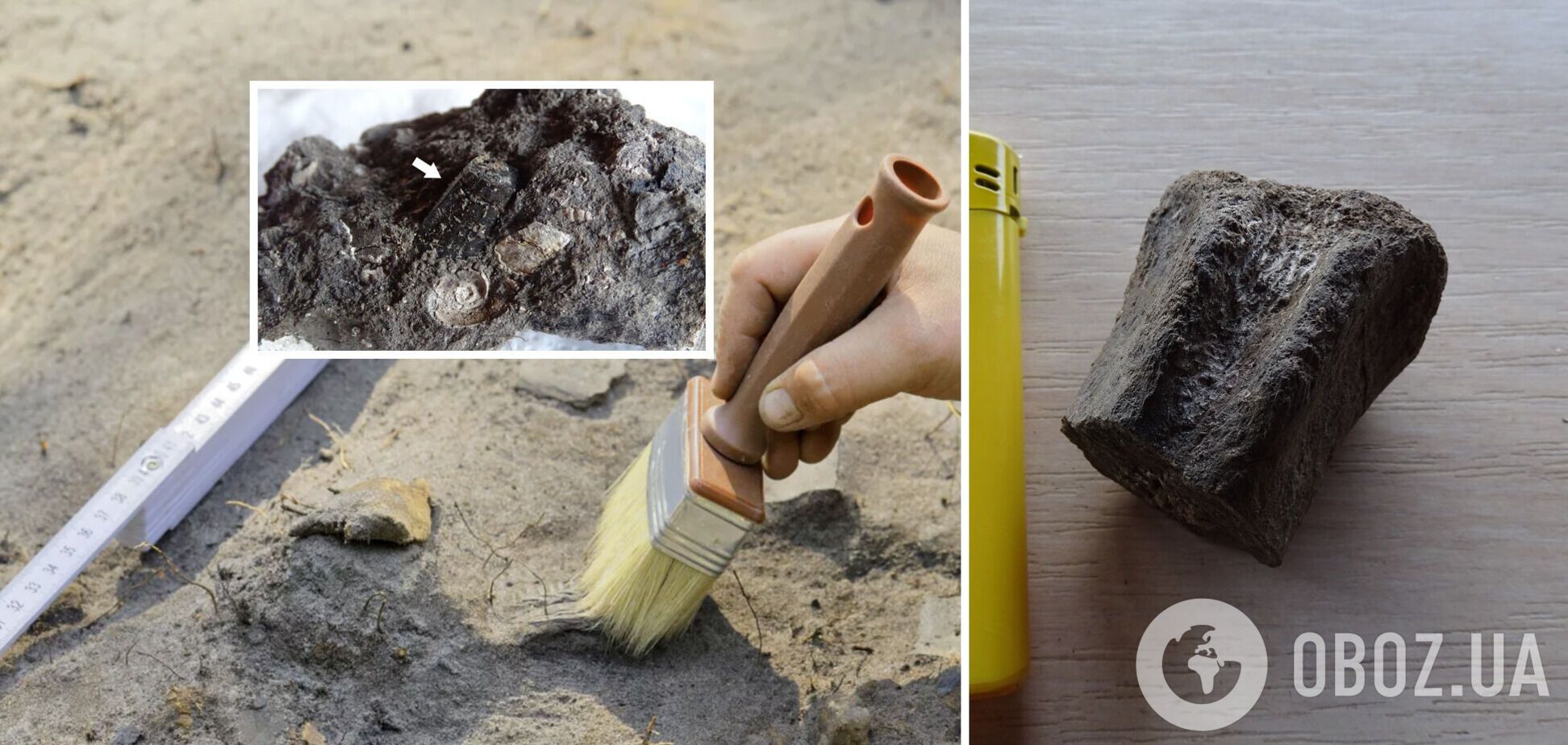 Не лише динозаври: у Болгарії знайшли рештки тварин, які жили понад 83 млн років тому. Фото