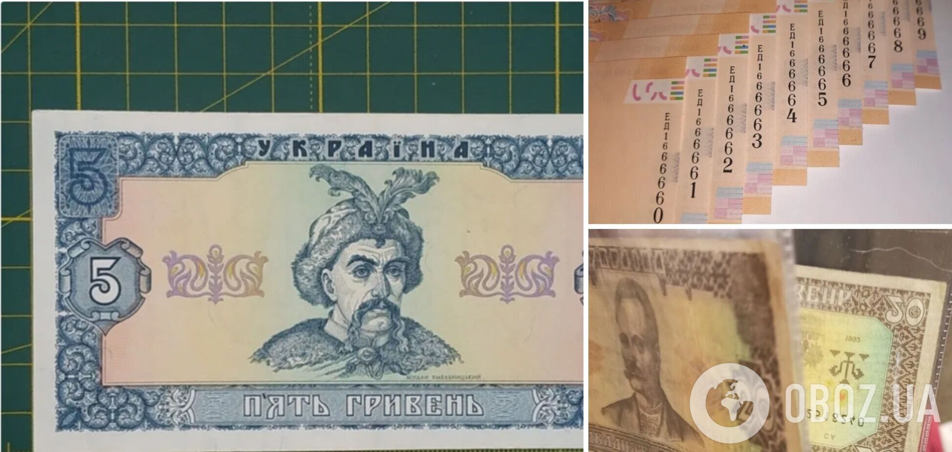Украинцы могут обогатиться, продав гривневые банкноты
