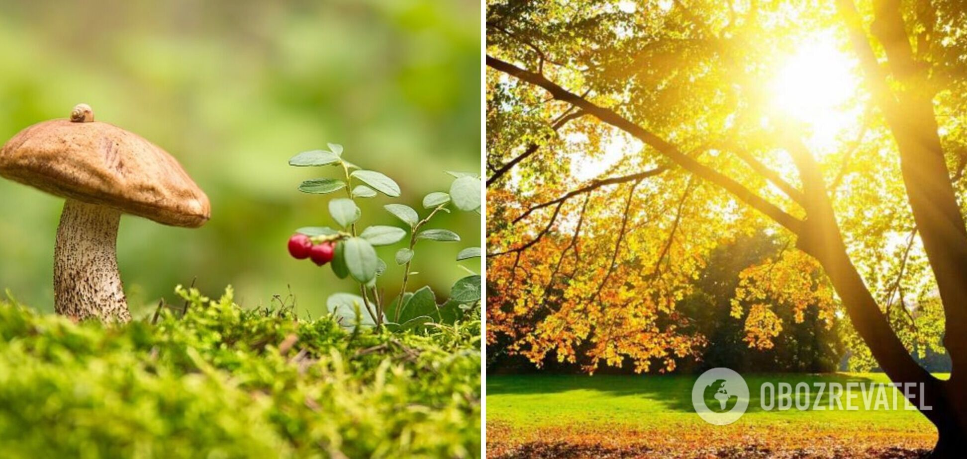 Переменная облачность без осадков и +27 тепла: синоптики дали прогноз погоды на пятницу, 22 сентября