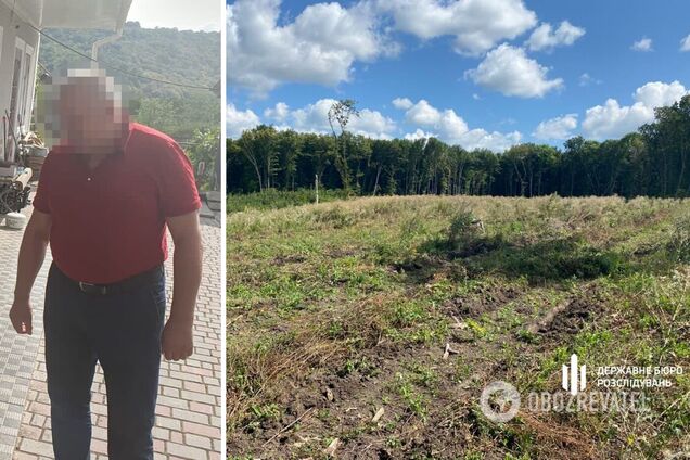 Руководителю лесного хозяйства объявлено подозрение