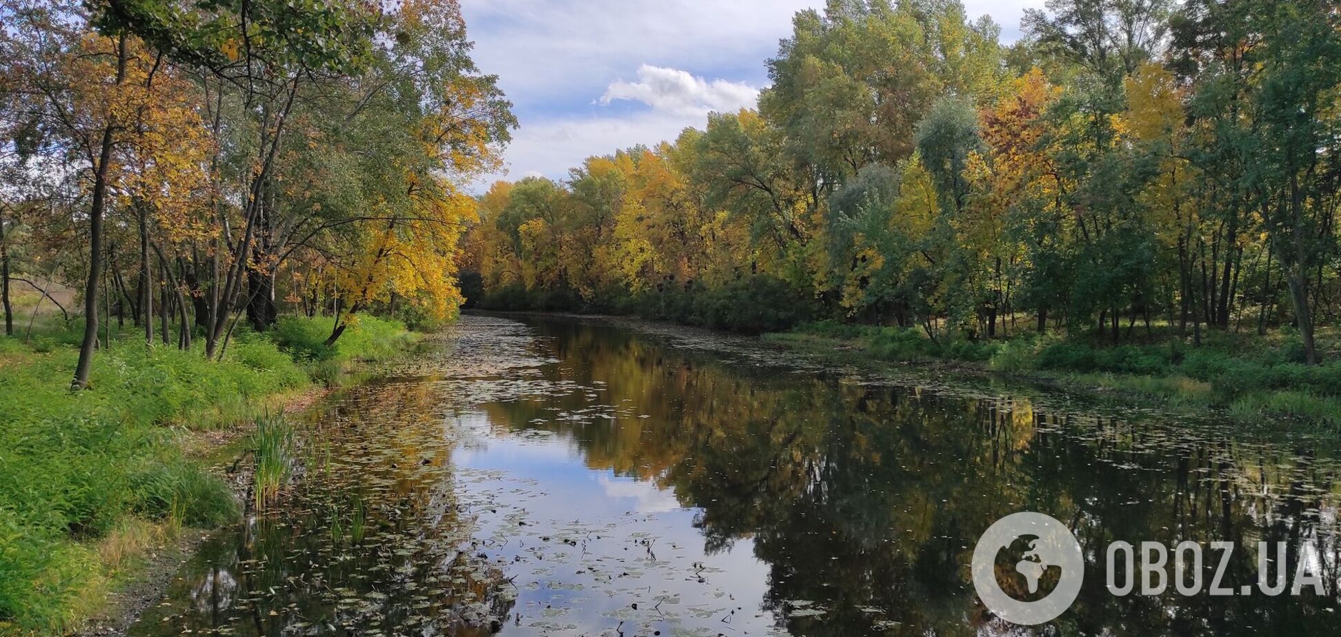 Осадков синоптики не прогнозируют