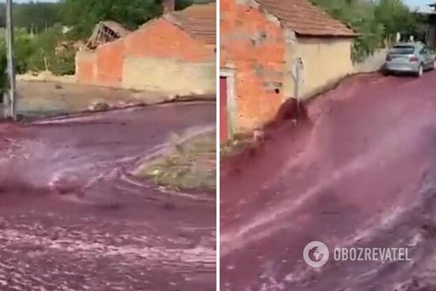 У Португалії через аварію на виноробні вулицю затопило вином. Відео