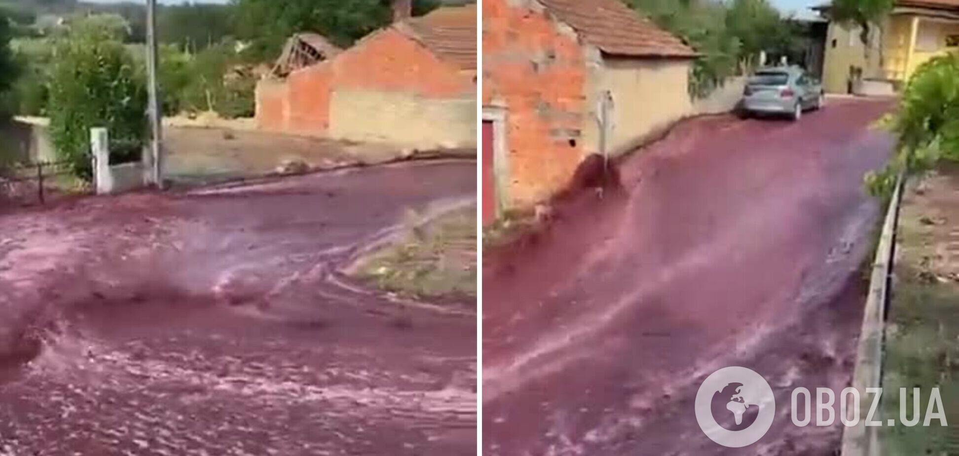 У Португалії через аварію на виноробні вулицю затопило вином. Відео 