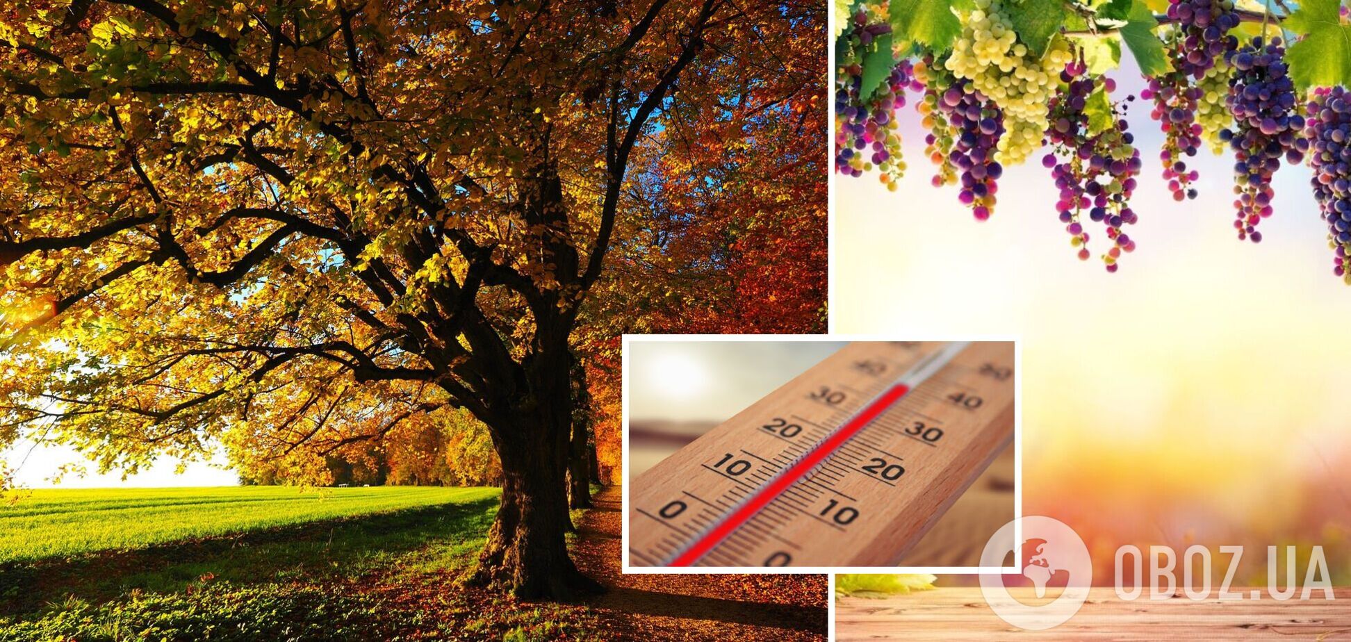 Комфортні +28 без опадів: синоптики дали прогноз погоди на вівторок, 12 вересня