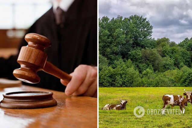 На Волыни мужчина заявил, что не прибыл в военкомат, потому что пас коров: как его наказали