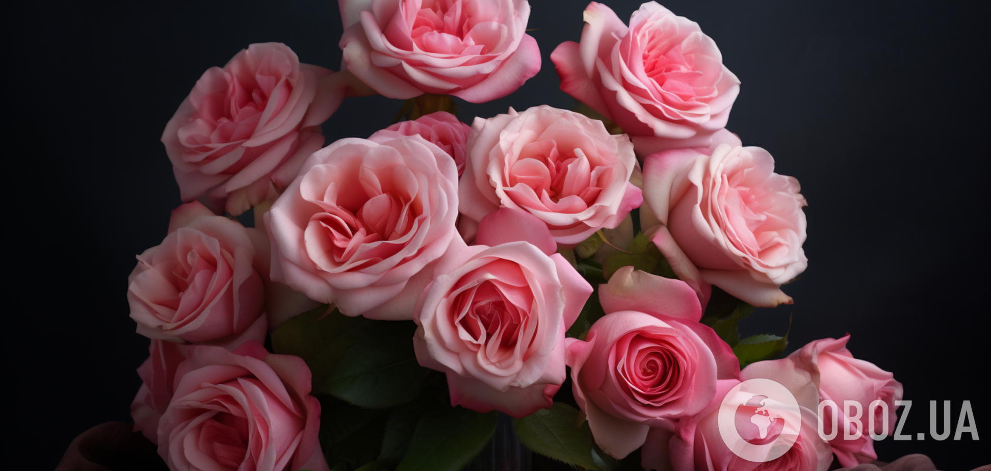 Рекомендації по використанню пелюсток троянди в медицині