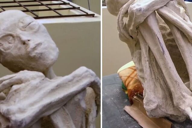 Что не так с телами инопланетян, которые показали в Мексике: в 2018 году мир уже видел 5 мумий пришельцев, и вот что из этого вышло