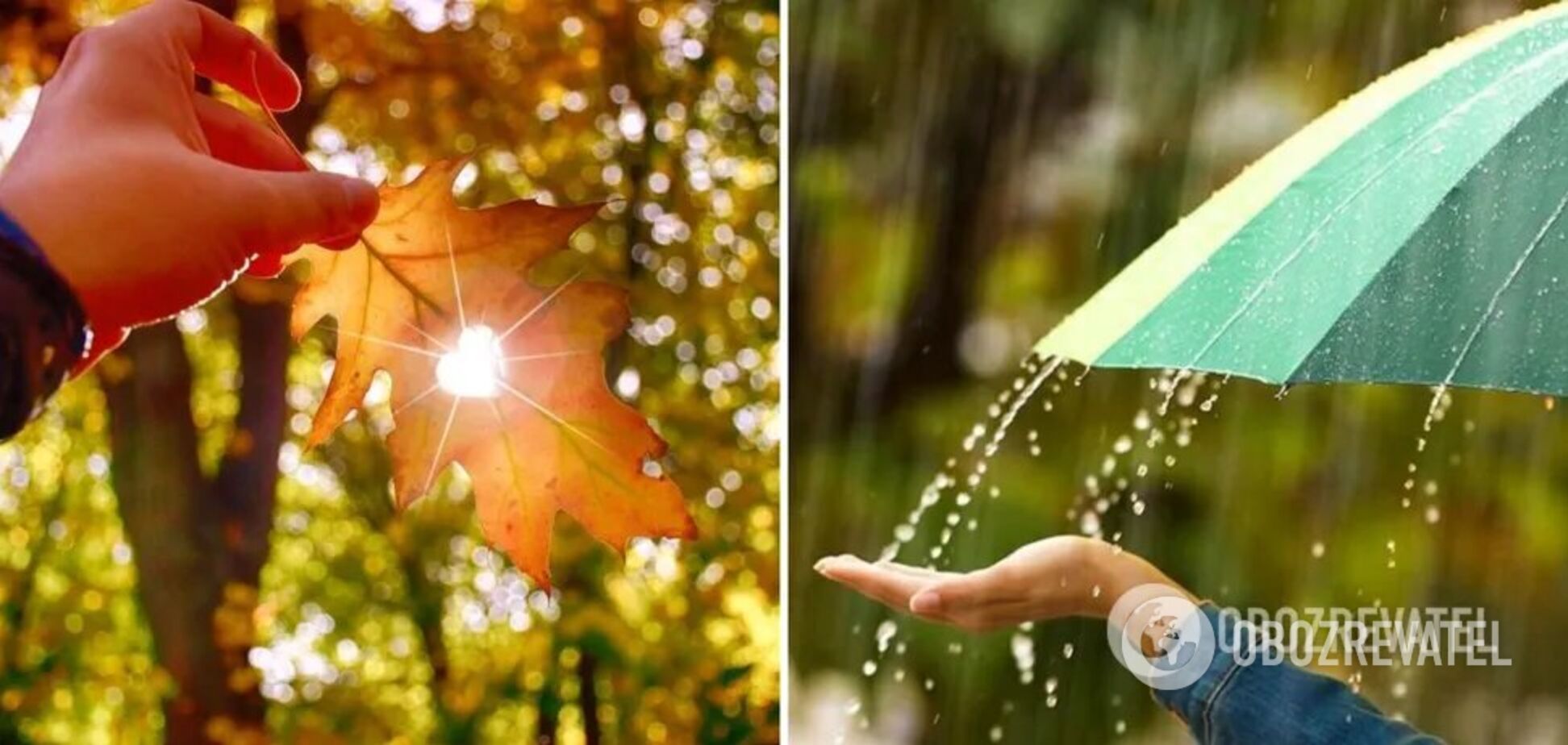 Облачно и небольшое похолодание: синоптики дали прогноз погоды на субботу, 16 сентября