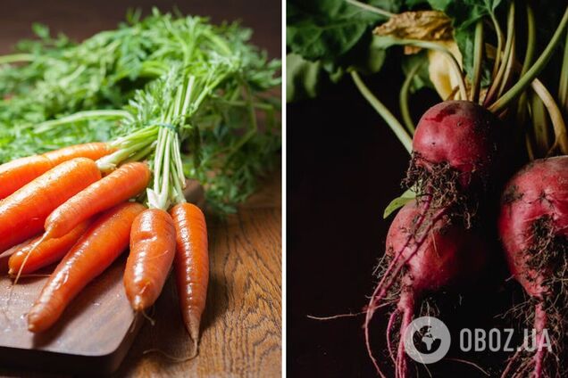 Как быстро высушить выкопанную морковь и свеклу: советы огородникам