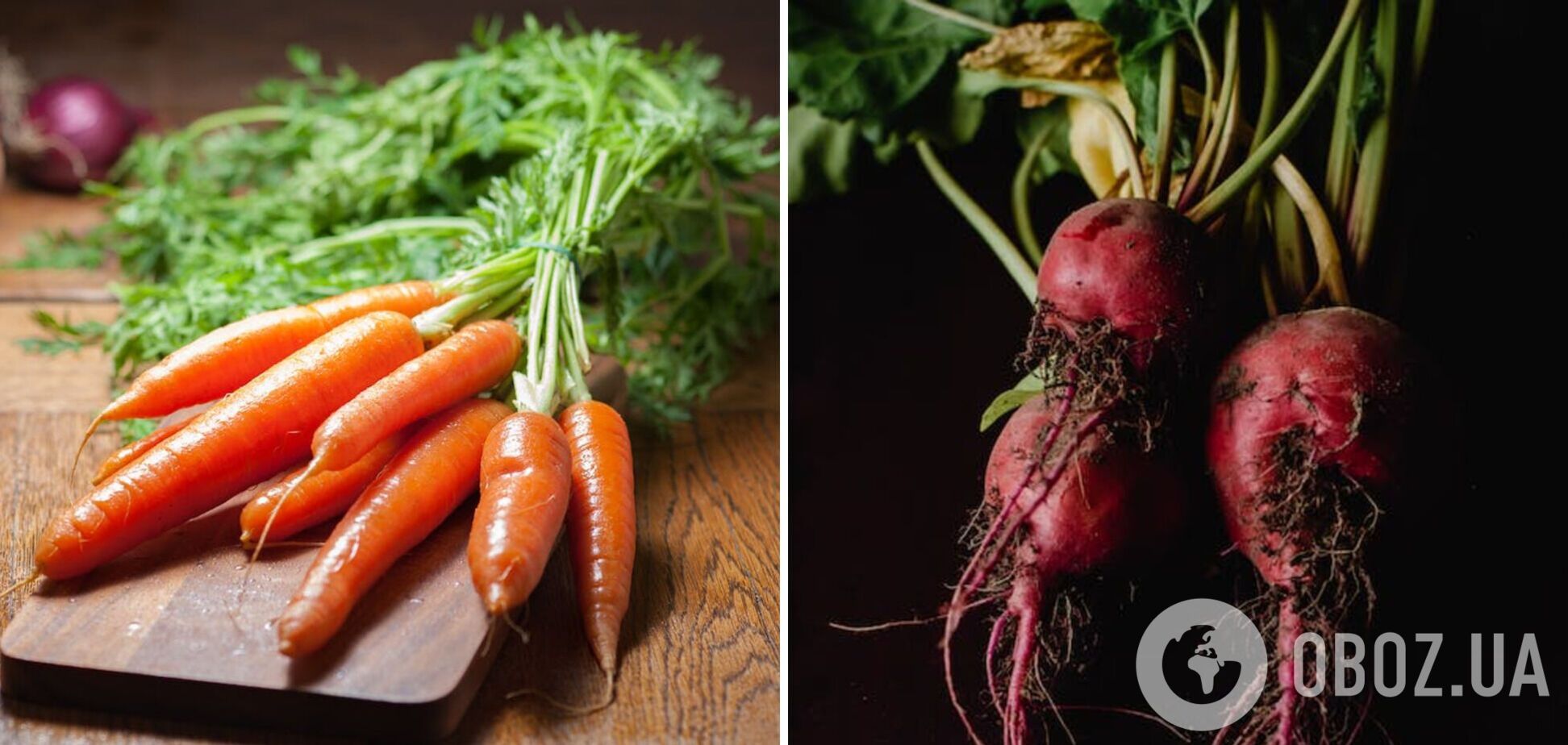 Як швидко висушити викопані моркву і буряк: поради городникам