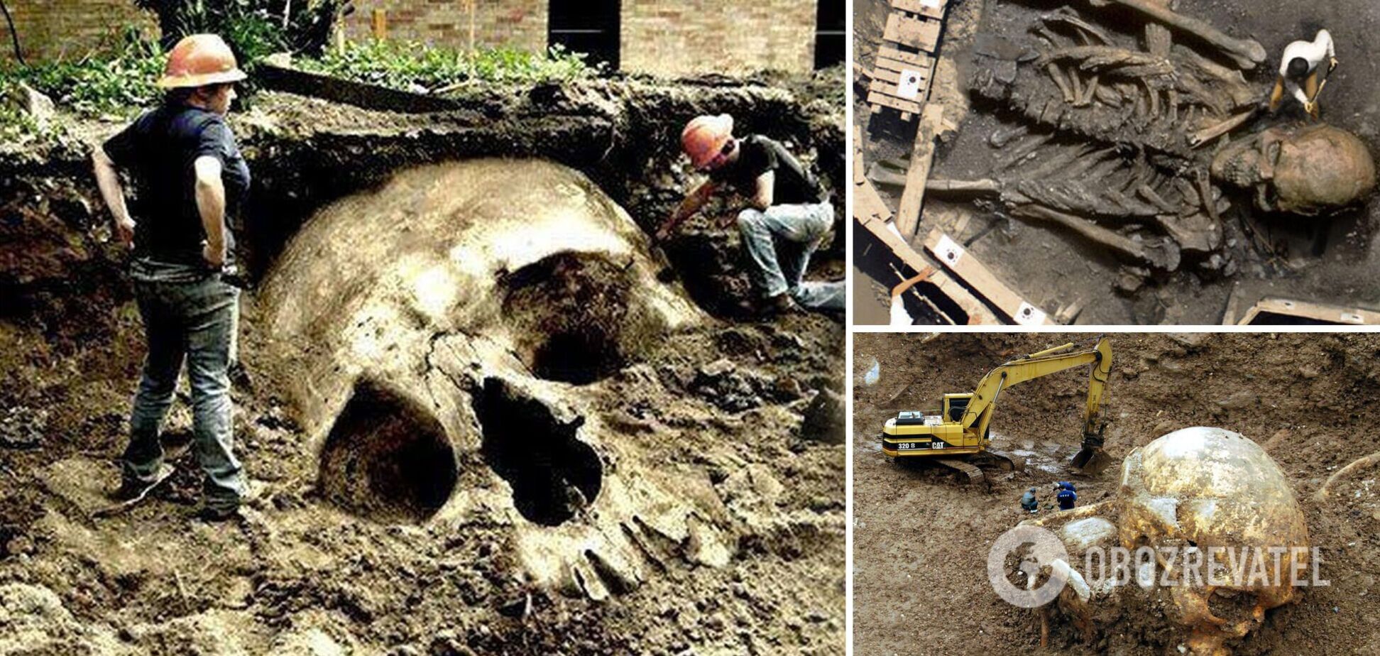 Могли ли существовать на Земле люди-гиганты: один закон математики объясняет все