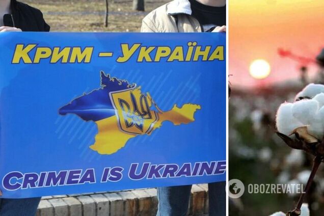 В Севастополе было слышно взрывы: оккупанты заявили о 'возможной подводной атаке'