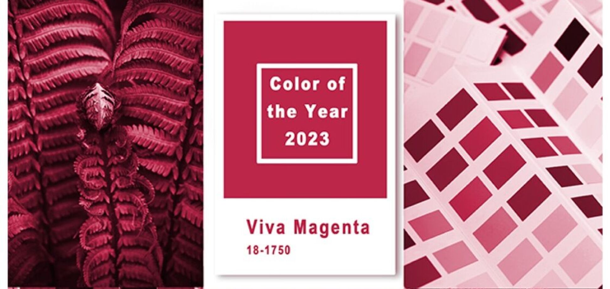 Наймодніший колір 2023: ТОП-7 street-style жіночих образів