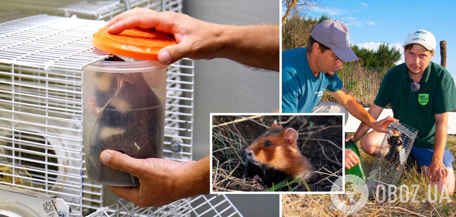 В степу випустили 15 тварин