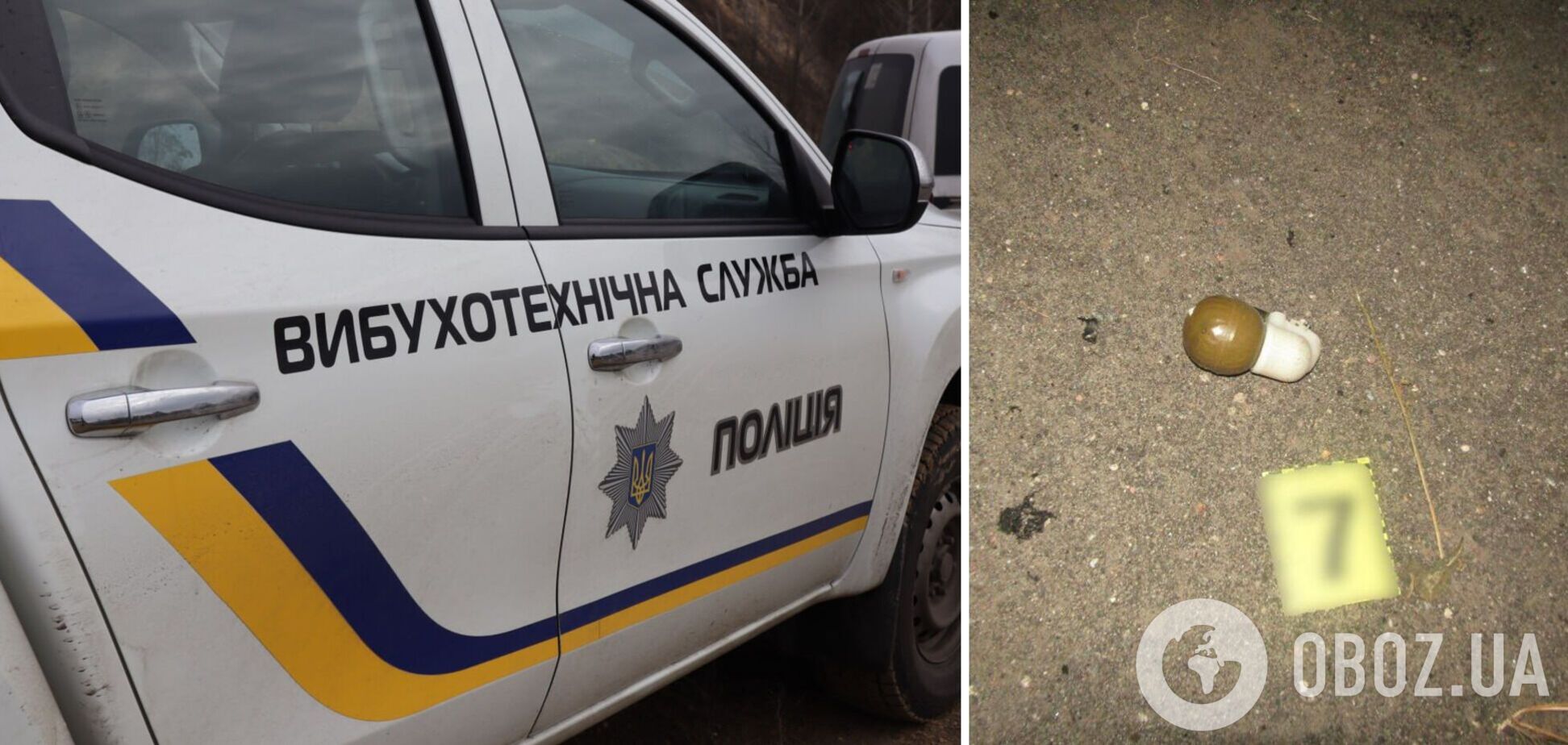 Поліцейські на місці знайшли гранату та знешкодили її